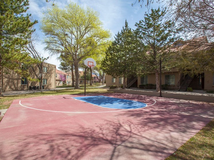 Community Basketball Court at Cinnamon Tree Apartments in Albuquerque, MN